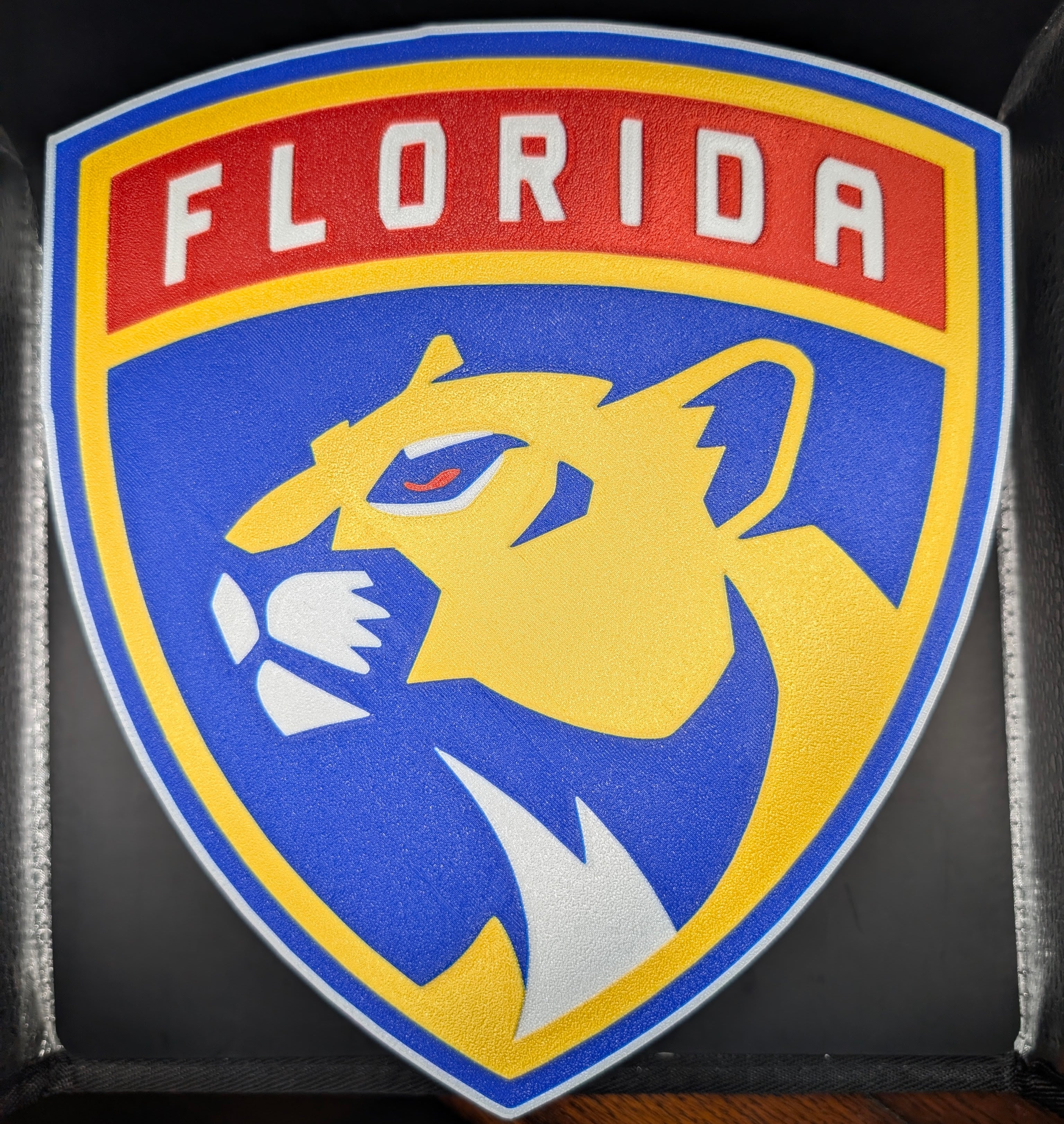 Florida Panthers LED Light Box