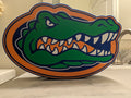 Florida Gators LED Lightbox – Custom App-Controlled USB Team Logo Sign